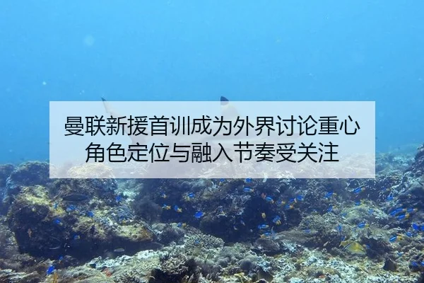 man-lian-xin-yuan-shou-xun-cheng-wei-wai-jie-tao-lun-zhong-xin-jue-se-ding-wei-yu-rong-ru-jie-zou-shou-guan-zhu-2-216.jpg